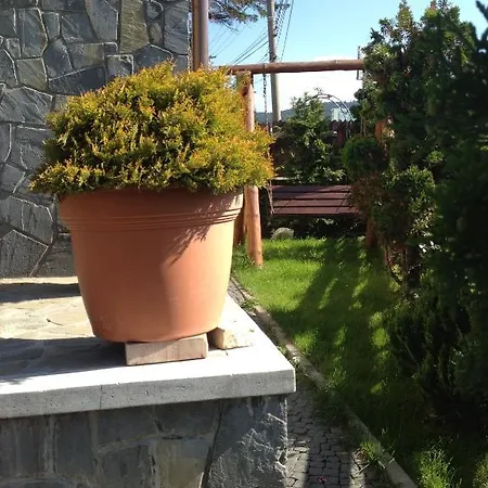 Casa Ali & Andu Guest house 3*